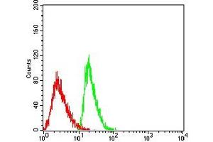 Flow cytometric analysis of Jurkat cells using GSN mouse mAb (green) and negative control (red).
