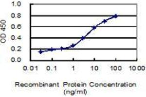 Detection limit for recombinant GST tagged PRICKLE1 is 0. (PRICKLE1 抗体  (AA 684-756))