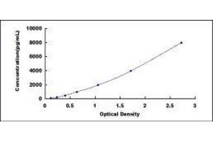Monoamine Oxidase A (MAOA) ELISA Kit