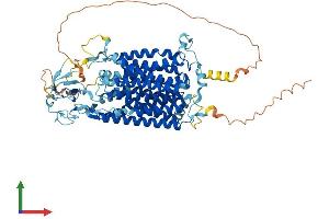 Protein Structure (PS) image for Organic Anion Transporter H (OATP-H) (AA 1-724) protein (His tag) (ABIN7555515)