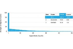 Specificity of ABIN6383875 to CD14 was tested on a human protein array, showing monospecificity against >19,000 full-length human proteins. (CD14 抗体  (Extracellular Domain))