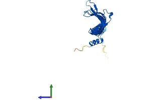 AlphaFold protein structure predicition of Mouse Recombinant Morn3 Protein, UniprotID Q8C5T4