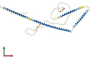Protein Structure (PS) image for 5-Azacytidine Induced 2 (AZI2) (AA 1-392) protein (His tag) (ABIN7552492)