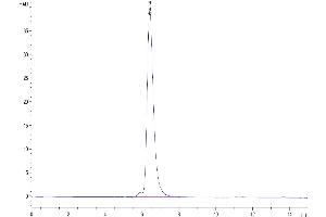 The purity of Human VEGF R3/FLT4 is greater than 95 % as determined by SEC-HPLC.