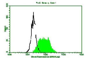 Fluorescence Flow Cytometry: Hela cells strained with Mouse anti-B2MG mAb clone D2E9 and fluorescence labelled secondary antibody. (beta-2 Microglobulin 抗体)