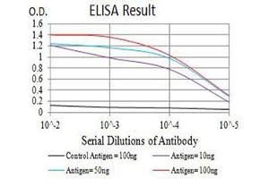 Black line: Control Antigen (100 ng),Purple line: Antigen (10 ng), Blue line: Antigen (50 ng), Red line:Antigen (100 ng) (MPL 抗体  (AA 26-175))