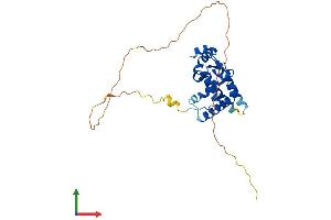 AlphaFold protein structure predicition of Human Recombinant MORF4L2 Protein, UniprotID Q15014