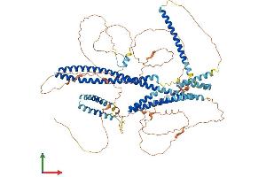 AlphaFold protein structure predicition of Mouse Recombinant Disc1 Protein, UniprotID Q811T9