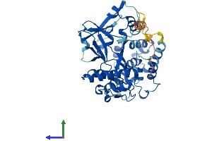 Protein Structure (PS) image for SMYD Family Member 5 (SMYD5) (AA 1-418) protein (His tag) (ABIN7546213)