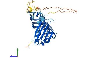 Protein Structure (PS) image for Activator of HSP90 ATPase Activity 1 (AHSA1) (AA 1-338) protein (His tag) (ABIN7558715)