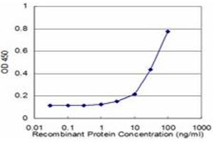 Detection limit for recombinant GST tagged S100P is approximately 3ng/ml as a capture antibody. (S100P 抗体  (AA 1-95))