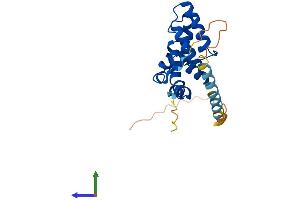 AlphaFold protein structure predicition of Mouse Recombinant Rgs2 Protein, UniprotID O08849