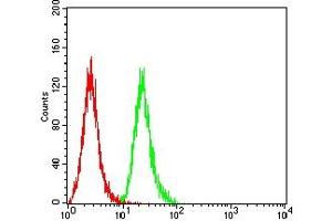 Flow Cytometry (FACS) image for anti-Tumor Necrosis Factor Receptor Superfamily, Member 25 (TNFRSF25) antibody (ABIN7193676)