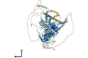 Protein Structure (PS) image for CDC42 Binding Protein Kinase gamma (DMPK-Like) (CDC42BPG) (AA 1-1551) protein (His tag) (ABIN7554612)