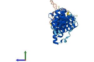 AlphaFold protein structure predicition of Human Recombinant TOMM34 Protein, UniprotID Q15785