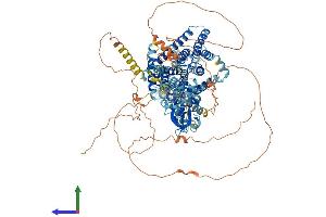 AlphaFold protein structure predicition of Human Recombinant CLCN1 Protein, UniprotID P35523 (CLCN1 Protein (AA 1-988) (His tag))