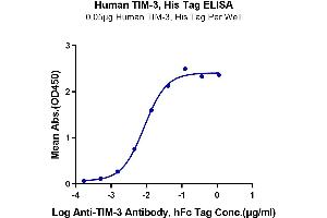ELISA image for Hepatitis A Virus Cellular Receptor 2 (TIM 3) (AA 22-200) protein (His tag) (ABIN7275736)