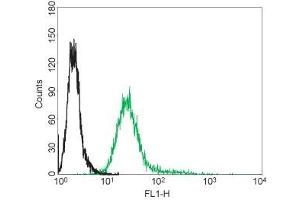 Flow Cytometry (FACS) image for anti-Nerve Growth Factor Receptor (NGFR) (AA 188-203), (Extracellular) antibody (FITC) (ABIN7043347)