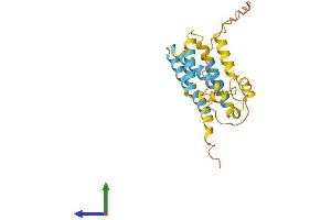 Protein Structure (PS) image for CKLF-Like MARVEL Transmembrane Domain Containing 5 (CMTM5) (AA 1-223) protein (His tag) (ABIN7546586)
