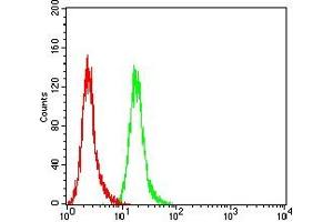 Flow Cytometry (FACS) image for anti-SRY (Sex Determining Region Y)-Box 11 (SOX11) (AA 1-250) antibody (ABIN7193570)