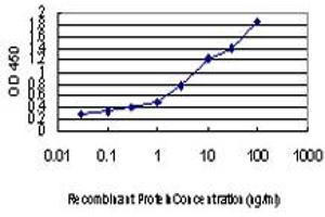 Detection limit for recombinant GST tagged FAAH is approximately 0. (FAAH 抗体  (AA 480-579))