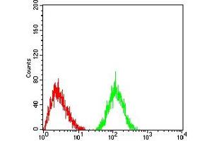 Flow cytometric analysis of HL-60 cells using LRP4 mouse mAb (green) and negative control (red). (LRP4 抗体  (AA 21-189))