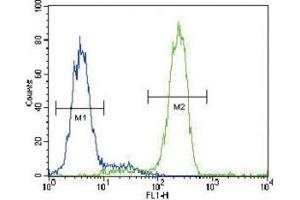 PPARG antibody flow cytometric analysis of HepG2 cells (green) compared to a negative control (blue). (PPARG 抗体  (AA 1-30))