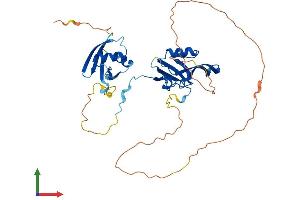 Protein Structure (PS) image for Par-6 Partitioning Defective 6 Homolog beta (PARD6B) (AA 1-372) protein (His tag) (ABIN7550575)