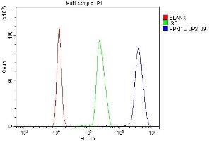 Flow Cytometry analysis of K562 cells using anti-PPM1E antibody (ABIN7600049).
