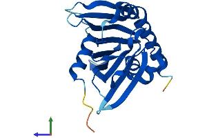 Protein Structure (PS) image for Phosphatidylcholine Transfer Protein (PCTP) (AA 1-214) protein (His tag) (ABIN7563441)