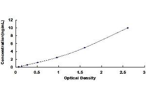 Typical standard curve (NOX1 ELISA 试剂盒)