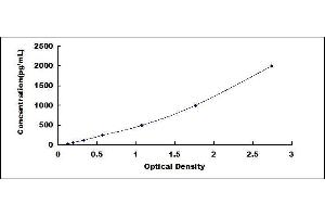 Osteocalcin (BGLAP) ELISA Kit