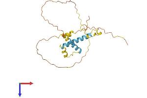 AlphaFold protein structure predicition of Mouse Recombinant Rhox5 Protein, UniprotID P52651