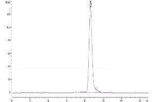 Size-exclusion chromatography-High Pressure Liquid Chromatography (SEC-HPLC) image for CD163 (CD163) (AA 39-1045) protein (His tag) (ABIN7274091)
