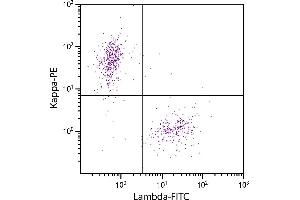 CD19+ human B-lymphocytes were stained with Goat F(ab’)2 Anti-Human Lambda, Mouse ads-FITC and Goat F(ab’)2 Anti-Human Kappa-PE. (山羊 anti-人 lambda (Chain lambda) Antibody (FITC) - Preadsorbed)