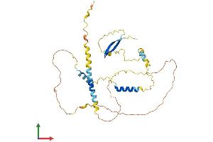 AlphaFold protein structure predicition of Mouse Recombinant Lsp1 Protein, UniprotID P19973