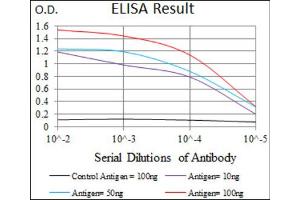Red: Control Antigen (100ng) ; Purple: Antigen (10ng) ; Green: Antigen (50ng) ; Blue: Antigen (100ng). (DNAL4 抗体  (AA 1-105))