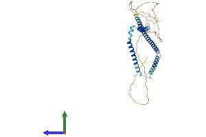 Protein Structure (PS) image for Wilms Tumor 1 Associated Protein (WTAP) (AA 1-396) protein (His tag) (ABIN7553962)
