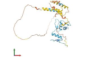 Protein Structure (PS) image for Kruppel-Like Factor 6 (KLF6) (AA 1-283) protein (His tag) (ABIN7548902)