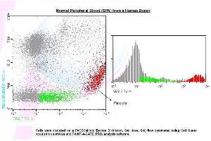 Image no. 1 for anti-CD9 (CD9) antibody (FITC) (ABIN1112243) (CD9 抗体  (FITC))