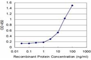 Detection limit for recombinant GST tagged SMAD7 is approximately 1ng/ml as a capture antibody. (SMAD7 抗体  (AA 160-260))
