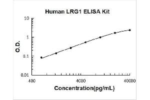 Leucine-Rich alpha-2 Glycoprotein 1 (LRG1) ELISA Kit