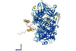Protein Structure (PS) image for DIS3-Like Exonuclease 1 (DIS3L) (AA 1-1053) protein (His tag) (ABIN7564486)
