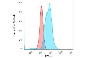 Flow Cytometric Analysis of PFA-fixed K562 cells using Calponin-1 Recombinant Mouse Monoclonal Antibody (rCNN1/832) followed by Goat anti-Mouse IgG-CF488 (Blue); Isotype Control (Red). (Recombinant CNN1 抗体)