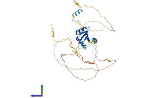 Protein Structure (PS) image for Trk-Fused Gene (TFG) (AA 1-400) protein (His tag) (ABIN7544434)