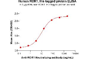 ELISA plate pre-coated by 2 μg/mL (100 μL/well) Human , His tagged protein (ABIN6964103, ABIN7042461 and ABIN7042462)  can bind Anti- Neutralizing antibody ([getskuurl sku