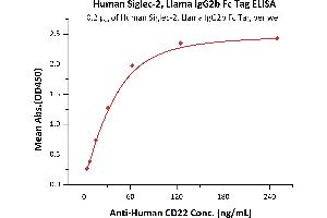 Immobilized Human Siglec-2, Llama IgG2b Fc Tag, low endotoxin (ABIN5954980,ABIN6253560) at 2 μg/mL (100 μL/well) can bind A CD22 with a linear range of 4-63 ng/mL (QC tested). (CD22 Protein (AA 20-687) (Fc Tag))
