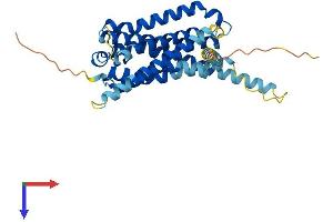 GPR21 Protein (AA 1-349) (His tag)