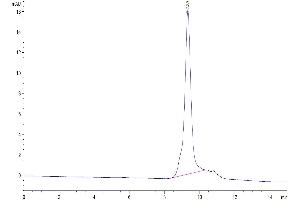The purity of Biotinylated Human GITR is greater than 95 % as determined by SEC-HPLC.