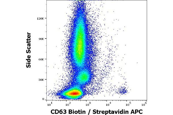 CD63 抗体  (Biotin)